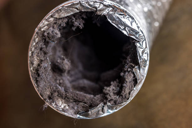 Best Air Duct Cleaning Company Near Me  in Colby, WI